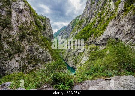 Tara Canyon, Berge und Wälder rund um im Naturpark Durmitor, Montenegro Stockfoto