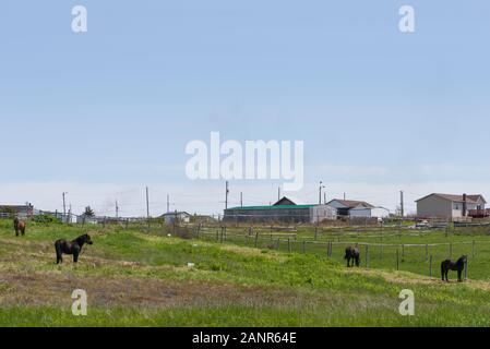 Bell Island liegt vor der Avalon Halbinsel von Neufundland, Kanada in Conception Bay entfernt. Sobald die Website von großen Eisenerzgruben. Stockfoto