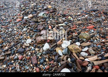 Der Tide line Auf der Themse vorland ist mit alten Knochen, Kreide, Ziegel und Kohle gekennzeichnet. London, Großbritannien Stockfoto