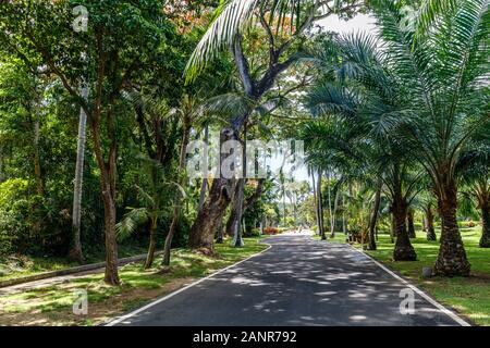 Grüne Wege in Nusa Dua, Bali, Indonesien. Stockfoto