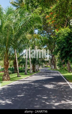 Grüne Wege in Nusa Dua, Bali, Indonesien. Bild vertikal. Stockfoto