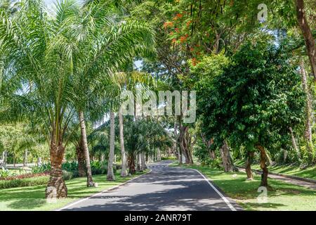 Grüne Wege in Nusa Dua, Bali, Indonesien. Stockfoto