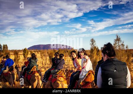 Touristen auf einer Kameluntergangstour mit Uluru in der Ferne, die Selfies nimmt. Uluru, Northern Territory, Australien Stockfoto