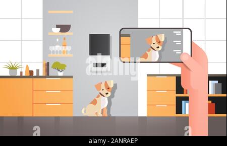 Hand mit Smartphone steuern automatische digitale Haustier trockene Lagerung von Lebensmitteln ai Mahlzeit feeder Spender smart Tierfutter online mobile App modernes Wohnzimmer innere horizontale Vektor illustration Stock Vektor