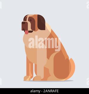 Kurzhaarige Bernard Saint hund Symbol furry menschlichen Freund home Tier Konzept voller Länge Vektor illustration Stock Vektor