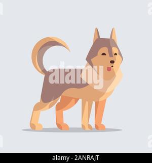 Husky niedlichen Hund Symbol furry menschlichen Freunde Home Tiere Konzept voller Länge Vektor illustration Stock Vektor