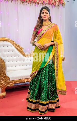 Mode Portrait von schönen Indischen weibliche model in einer traditionellen indischen Sari tragen von Goldschmuck und Armreifen in Kalkutta, Indien im Januar 2020 Stockfoto