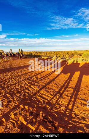 Kameluntergangstour in der Nähe von Uluru erzeugt dramatische Schatten auf der roten Erde. Yulara, Northern Territory, Australien Stockfoto