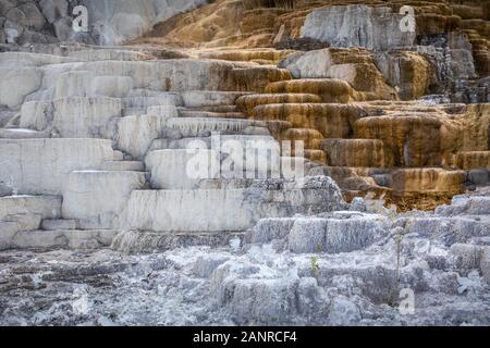 Terrassen von Mammoth Hot Spring in zwei Töne, Farben, Weiß und Braun von Calciumcarbonat, Yellowstone National Park, Wyoming, USA. Stockfoto