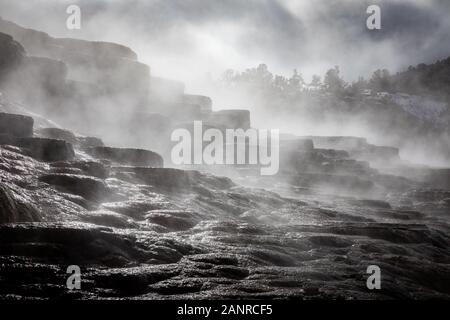 Terrassen von Mammoth Hot Spring von Kalziumkarbonat durch Rauch aus dem heißen Wasser bedeckt, Yellowstone National Park, Wyoming, USA. Stockfoto