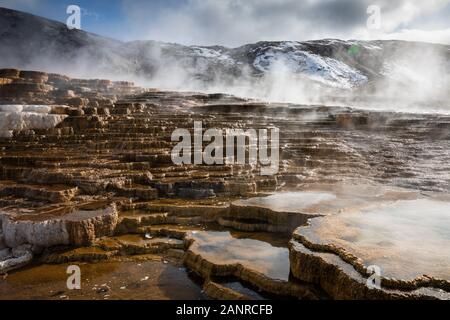 Terrassen von Mammoth Hot Spring von Kalziumkarbonat durch Rauch aus dem heißen Wasser bedeckt, Yellowstone National Park, Wyoming, USA. Stockfoto