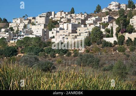 West Jerusalem Nachbarschaft auf einem Hügel mit Blick auf Gazelle Valley, einem städtischen Naturschutzgebiet in Israel gebaut Stockfoto