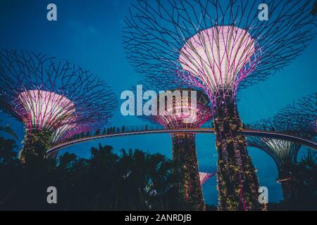 Die super Bäume an der Gärten durch die Bucht Attraktion in Singapur Stockfoto