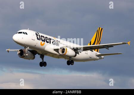 Airbus A 230-232 Airliner betrieben durch australische Low Cost Airline Tigerair Ansatz am Melbourne Flughafen zu landen. Stockfoto