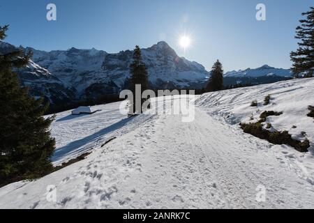 Landschaft in den Schweizer Alpen im Winter bei Grindelwald. Stockfoto