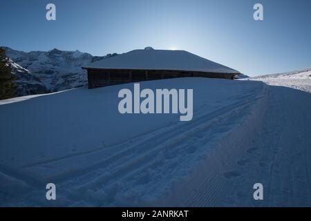 Landschaft in den Schweizer Alpen im Winter bei Grindelwald. Stockfoto