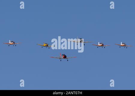 Commonwealth Aircraft Corporation CA-25 Winjeel Flugzeuge führen einer Bildung von ehemaligen Royal Australian Air Force trainer Flugzeuge. Stockfoto