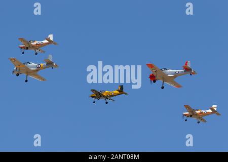 Commonwealth Aircraft Corporation CA-25 Winjeel Flugzeuge führen einer Bildung von ehemaligen Royal Australian Air Force trainer Flugzeuge. Stockfoto