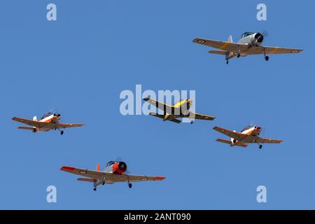 Commonwealth Aircraft Corporation CA-25 Winjeel Flugzeuge führen einer Bildung von ehemaligen Royal Australian Air Force trainer Flugzeuge. Stockfoto