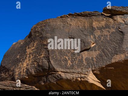 Felszeichnungen auf einem Felsen, Kühe, Provinz Najran, Najd Khayran, Saudi-Arabien Stockfoto