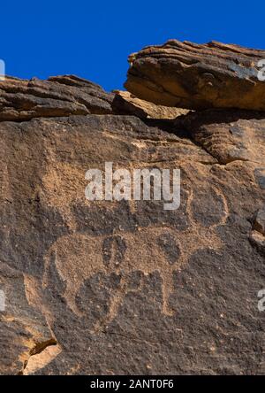 Felszeichnungen auf einem Felsen, Kühe, Provinz Najran, Najd Khayran, Saudi-Arabien Stockfoto