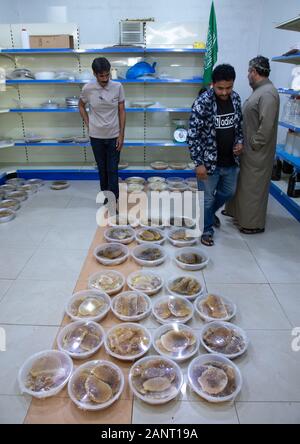 Saudi mann Verkauf von Waben und Honig in einem Shop, Asir Provinz, Rijal Alma, Saudi-Arabien Stockfoto