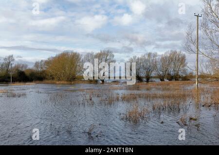 Überfluteten Norden Wiese Natur Reserve bei Cricklade, Wiltshire Heimat der seltenen Schlangen - Kopf Fritillary Stockfoto