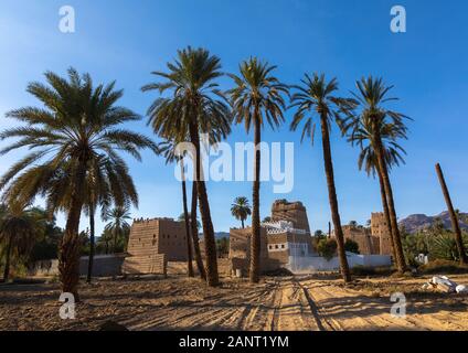 Traditionelles altes Lehmhaus in der Mitte von Palmen, Najran Provinz Najran, Saudi-Arabien Stockfoto