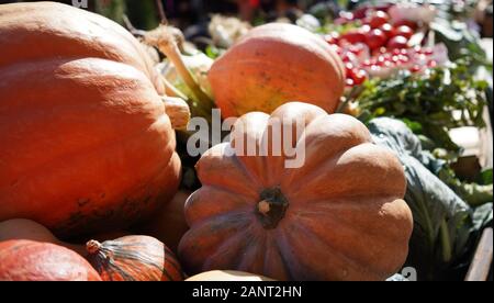 Kürbisse zum Verkauf auf einem Gemüsemarkt in Colmar, Frankreich Stockfoto