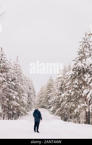 Hinter Porträt eines Mannes in einer warmen Jacke im Winter Natur auf der Straße vor dem Hintergrund der hohen Bäume und Schneefall Frome Stockfoto