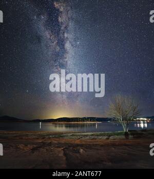 Milchstraße über einen blattlosen Baum am Ufer des Lake Jindabyne Jindabyne mit der Stadt im Hintergrund Stockfoto