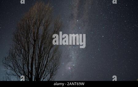 Milchstraße über einen blattlosen Baum mit einem Feuerball meteor Trail floating im Zentrum der Milchstraße Stockfoto