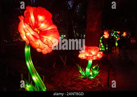 Sanford, Fla/USA - Dec 29, 2019: Die asiatische Laternen Festival, in die Wildnis, an der Central Florida Zoo und Botanischen Garten empfohlene über 30 LED Lanter Stockfoto