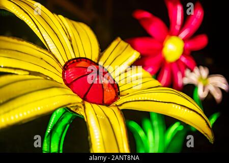 Sanford, Fla/USA - Dec 29, 2019: Die asiatische Laternen Festival, in die Wildnis, an der Central Florida Zoo und Botanischen Garten empfohlene über 30 LED Lanter Stockfoto