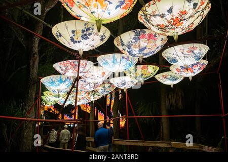 Sanford, Fla/USA - Dec 29, 2019: Die asiatische Laternen Festival, in die Wildnis, an der Central Florida Zoo und Botanischen Garten empfohlene über 30 LED Lanter Stockfoto