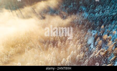 Erstaunlich Sonnenaufgang über nebligen Winter Forest, Antenne Drohne Anzeigen. Stockfoto