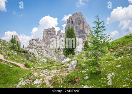 Charakteristischer Blick auf die Berge der Dolden zwischen dem Marmolada-Gletscher und Cortina d'Ampezzo. Im Vordergrund steht Lärchenbaum. Stockfoto