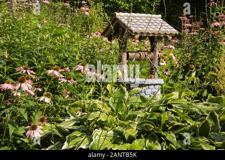 Hosta Pflanzen, mauve Echinacea - coneflowers und eine dekorative gut im Vorgarten Land Garten im Sommer. Stockfoto