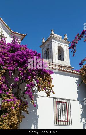 Blühende Bäume vor der Kirche Igreja de Santa Luzia in Lissabon, Portugal, an einem sonnigen Tag. Stockfoto