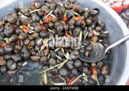 Eine Schüssel mit frischen Schnecken auf einem Straßennahrungsmarkt in da Lat in Vietnam Stockfoto