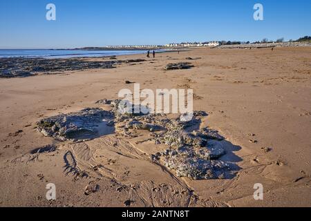 Strand in der Nähe von Newton Porthcawl, South Wales mit dem Trecco Bay Caravan Park in der Ferne Stockfoto