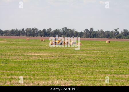Einen landwirtschaftlichen Traktor Lader lasten Heuballen in einen Traktor Anhänger auf dem Feld Stockfoto