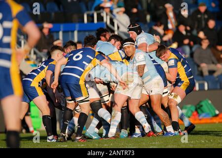 Leeds, Großbritannien. Jan, 2019 19. LEEDS, England - 19. JANUAR Sonatane Takulua von Newcastle Falcons jagt den Ball während der Greene King IPA Championship Match zwischen Yorkshire Carnegie und Newcastle Falcons bei Headingley Leeds Carnegie Stadion, am Sonntag, den 19. Januar 2020. (Quelle: Chris Lishman | MI Nachrichten) das Fotografieren dürfen nur für Zeitung und/oder Zeitschrift redaktionelle Zwecke verwendet werden, eine Lizenz für die gewerbliche Nutzung Kreditkarte erforderlich: MI Nachrichten & Sport/Alamy leben Nachrichten Stockfoto