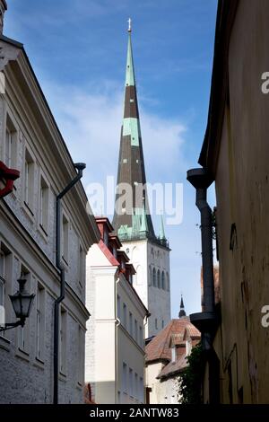 Spike von St. Olaf (oleviste) Kirche. Tallinn, Estland Stockfoto