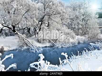 Winter Bäume mit schneebedeckten Zweigen auf Ungefroren Fluss banksr. Russland Stockfoto