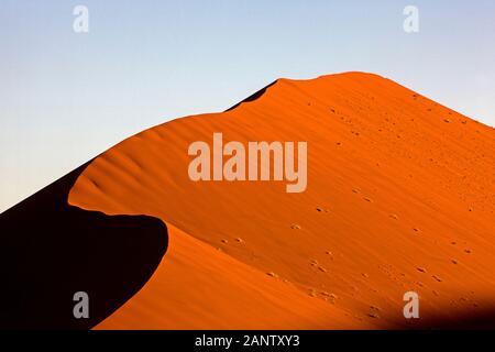 NAMIB-NAUKLUFT-PARK, WÜSTE NAMIB, DÜNEN VON SOSSULSVLEI, DÜNE 45 IN NAMIBIA - Stockfoto