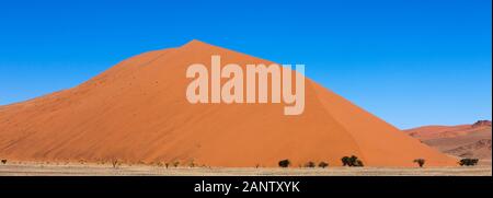 NAMIB-NAUKLUFT-PARK IN DER NAMIB-WÜSTE, SOSSULSVLEI DÜNEN, DÜNE 45 IN NAMIBIA Stockfoto