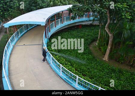 Eine Frau bewässert die Pflanzen in einem Garten an der Fußgängerüberführung im Quarry Bay Park in Hongkong. Stockfoto