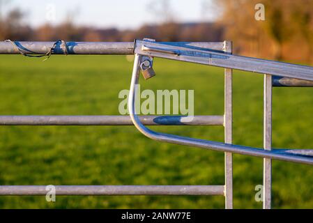 Gesperrt Metal Gate mit einem Vorhängeschloss Stockfoto