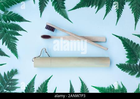 Zwei Öko-Bambus-Zahnbürsten und Bambusdeckel auf blauem Grund mit Farnblättern. Umweltfreundliches Konzept. Kein Abfall. Draufsicht. Stockfoto